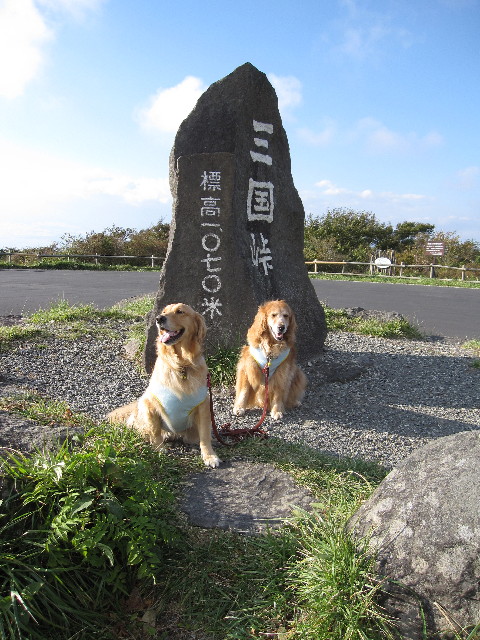 ファイル 1000-4.jpg