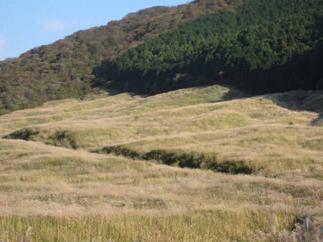 ファイル 1001-1.jpg