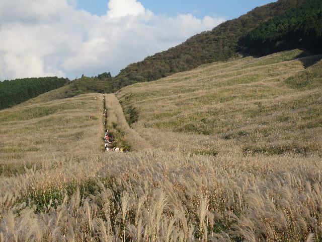 ファイル 1001-2.jpg