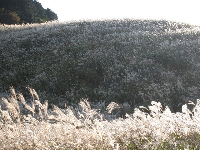 ファイル 1001-4.jpg