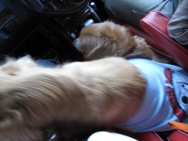 ファイル 1003-5.jpg