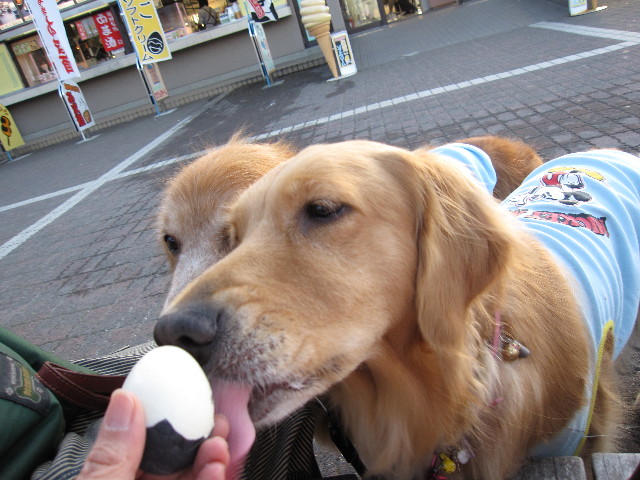 ファイル 1004-3.jpg