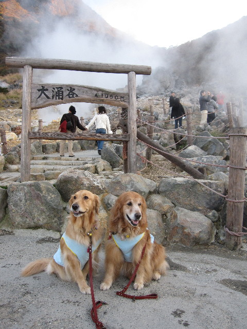 ファイル 1005-3.jpg