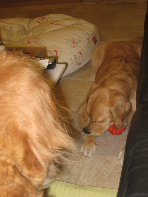 ファイル 1007-1.jpg