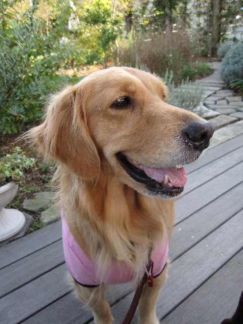 ファイル 1007-5.jpg