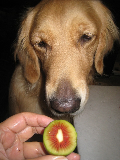 ファイル 1009-5.jpg