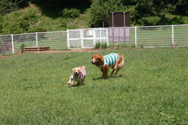 ファイル 101-1.jpg