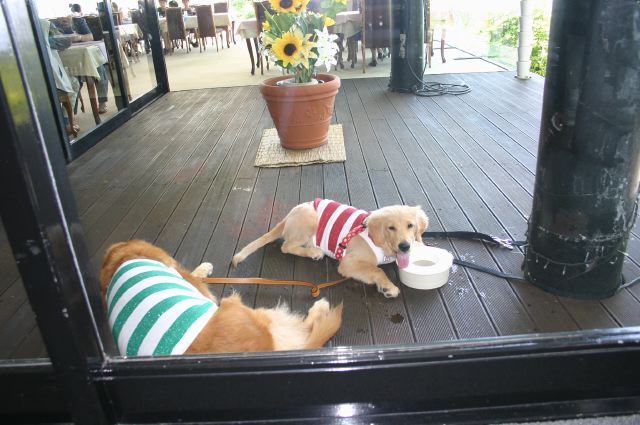 ファイル 101-3.jpg