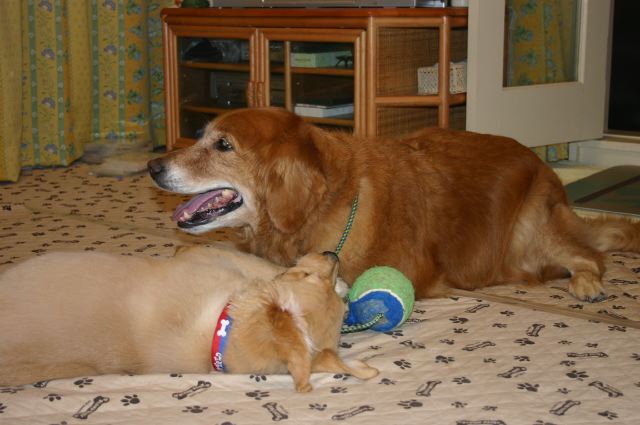 ファイル 101-4.jpg