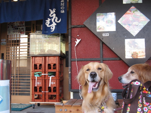 ファイル 1012-3.jpg