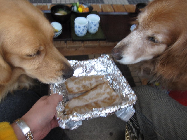 ファイル 1012-4.jpg