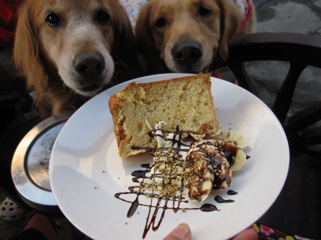 ファイル 1013-2.jpg