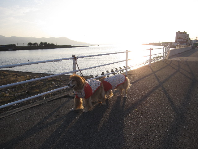 ファイル 1013-4.jpg