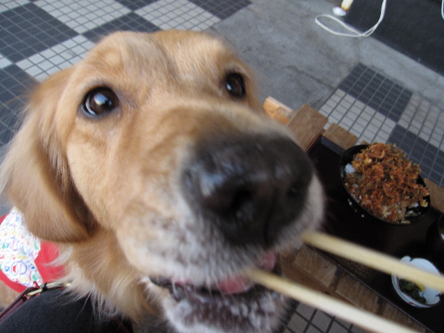 ファイル 1014-5.jpg