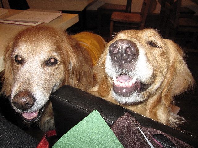 ファイル 1016-1.jpg