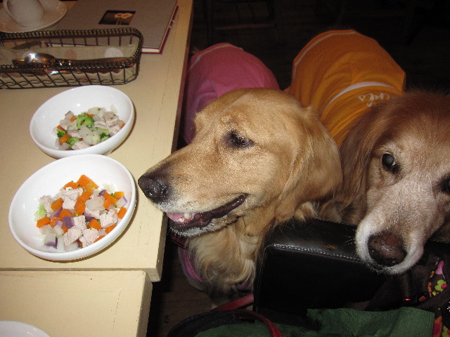 ファイル 1016-4.jpg