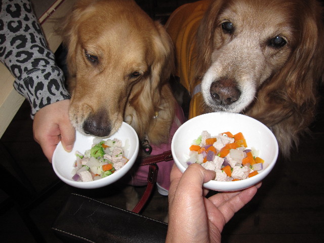 ファイル 1016-5.jpg