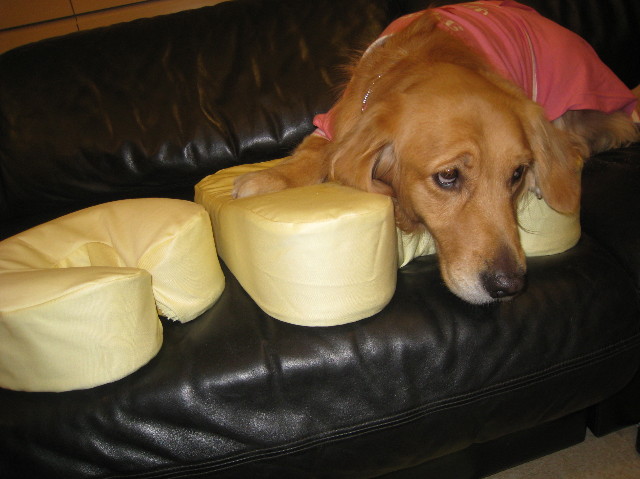 ファイル 1018-4.jpg