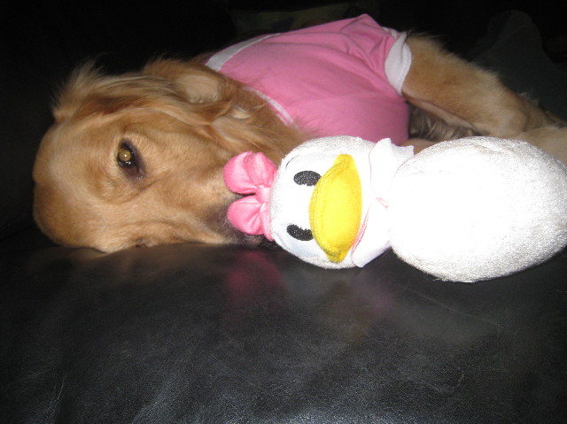 ファイル 1018-5.jpg