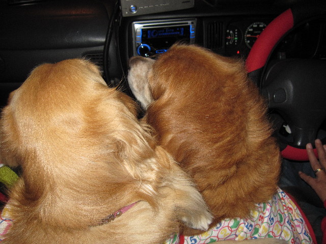 ファイル 1023-2.jpg