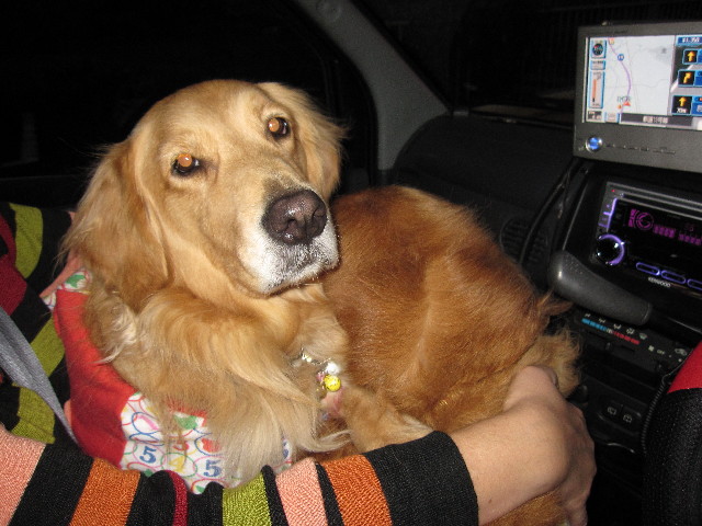 ファイル 1023-3.jpg