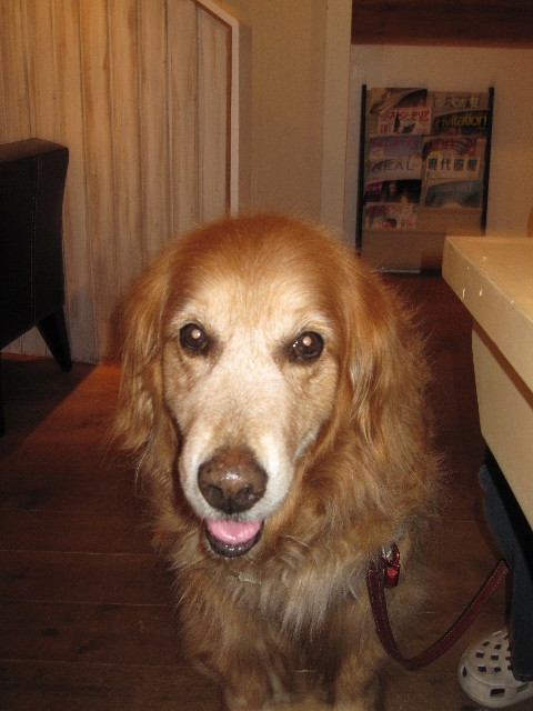 ファイル 1023-4.jpg