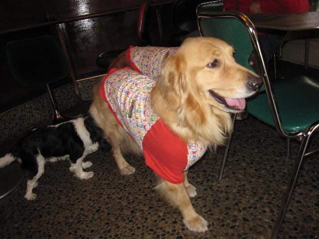 ファイル 1023-5.jpg