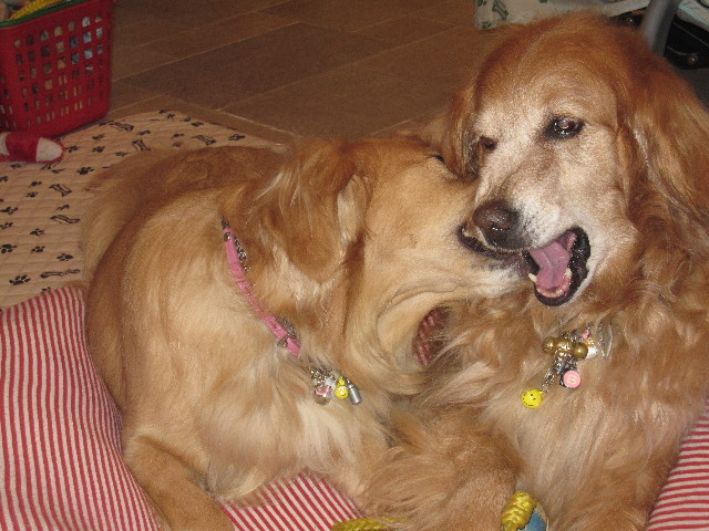 ファイル 1024-2.jpg