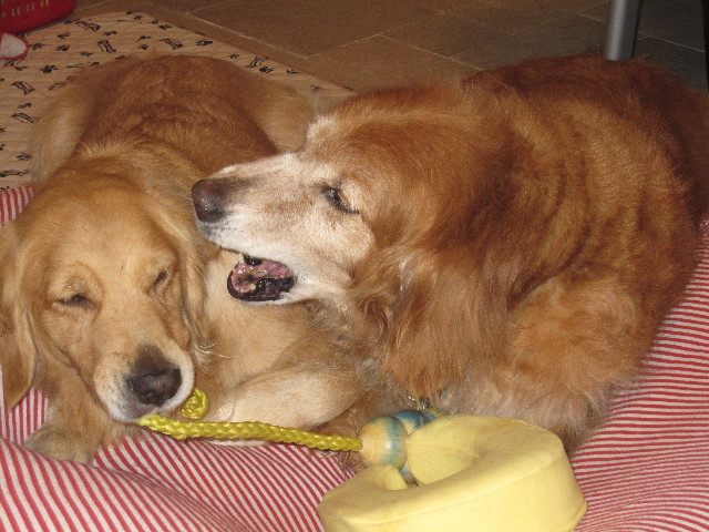 ファイル 1024-3.jpg