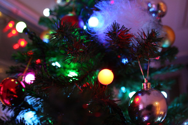 ファイル 1025-4.jpg