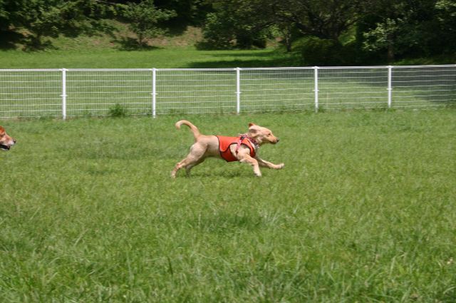 ファイル 103-1.jpg