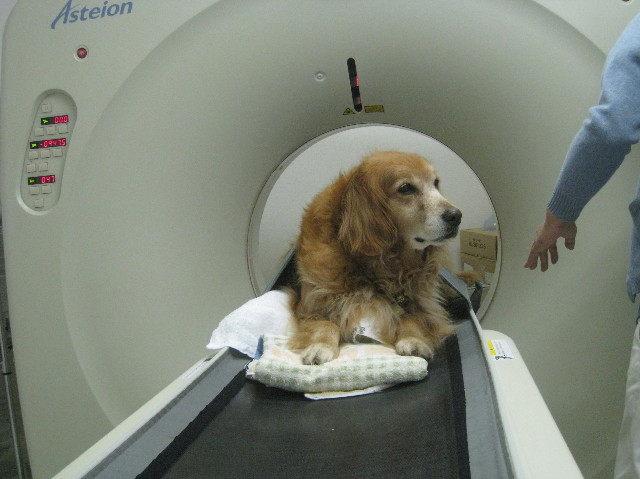 ファイル 1030-1.jpg