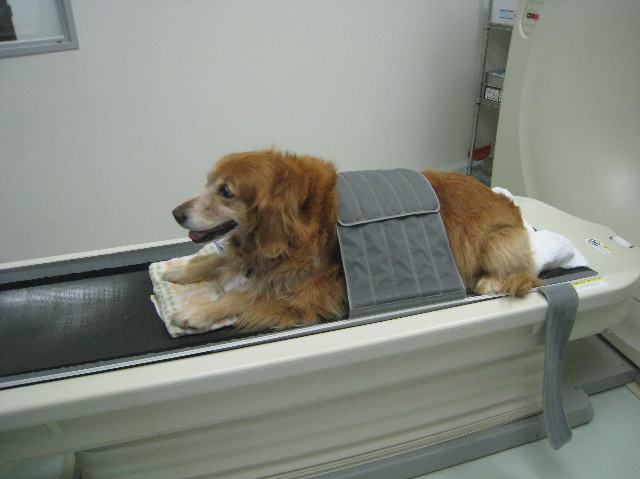 ファイル 1030-2.jpg