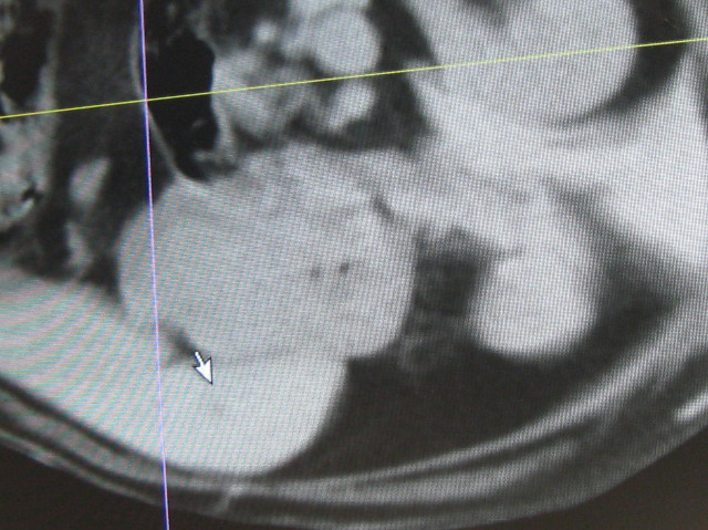 ファイル 1030-4.jpg