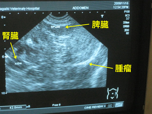 ファイル 1031-4.jpg