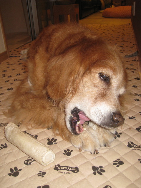 ファイル 1032-3.jpg