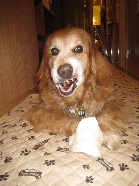 ファイル 1032-5.jpg