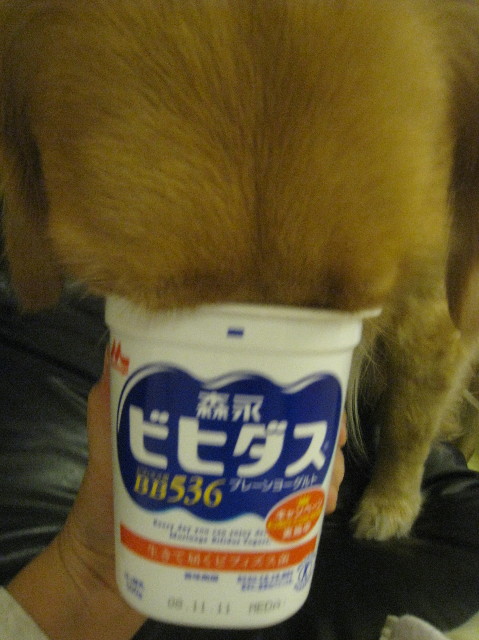 ファイル 1033-2.jpg