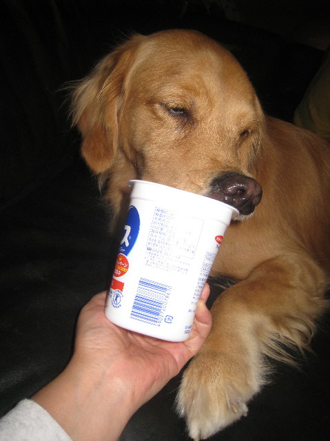 ファイル 1033-3.jpg