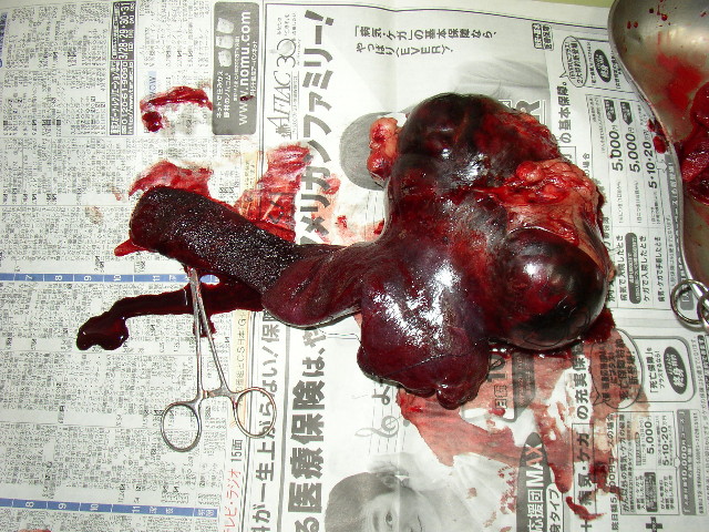 ファイル 1038-4.jpg