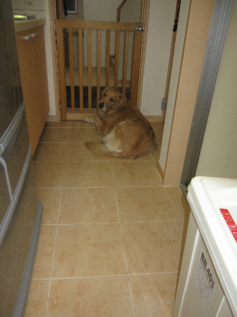 ファイル 1040-3.jpg