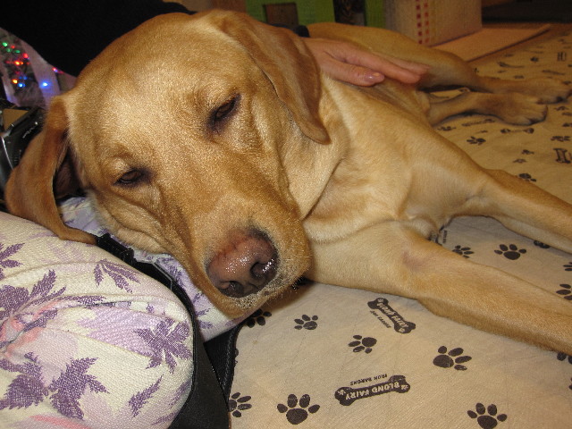 ファイル 1041-4.jpg