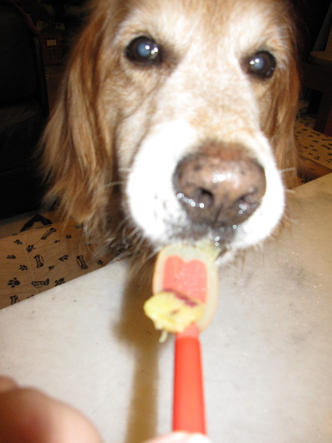 ファイル 1045-2.jpg