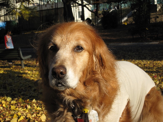 ファイル 1045-5.jpg