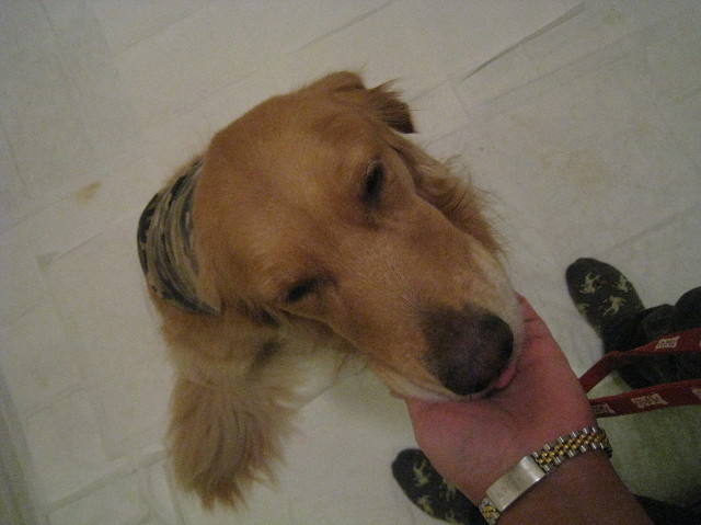 ファイル 1046-4.jpg