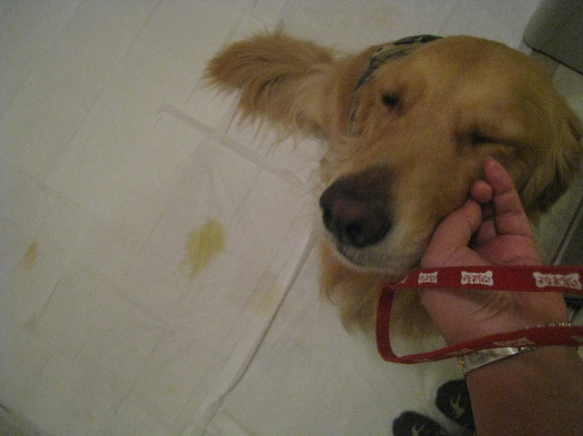 ファイル 1046-5.jpg