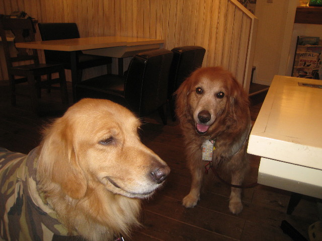 ファイル 1047-1.jpg