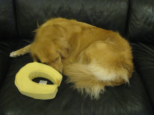 ファイル 1047-4.jpg