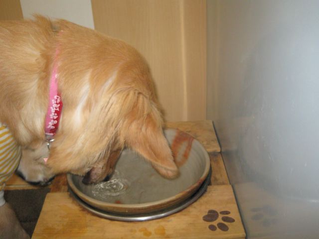 ファイル 105-1.jpg