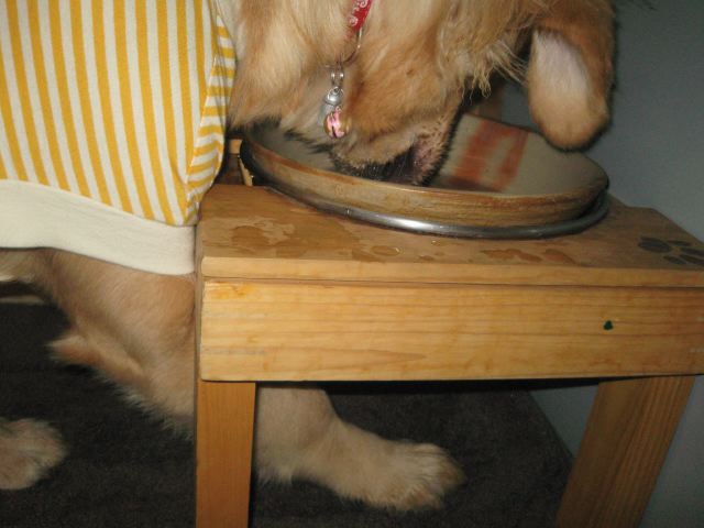 ファイル 105-5.jpg